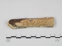 登錄號:F0004275藏品圖，第1張