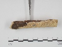 登錄號:F0004275藏品圖，第3張