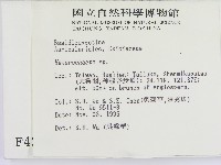刺皮菌屬藏品圖，第2張