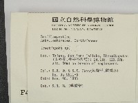 館號:F0004277藏品圖，第2張