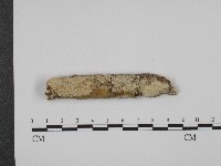 館號:F0004277藏品圖，第1張