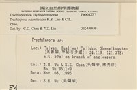 館號:F0004277藏品圖，第3張