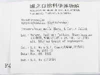 登錄號:F0004278藏品圖，第2張