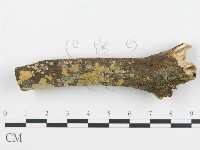 登錄號:F0004278藏品圖，第1張