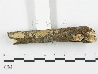 登錄號:F0004278藏品圖，第3張