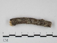 登錄號:F0004279藏品圖，第4張