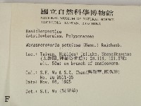 登錄號:F0004280藏品圖，第2張