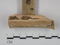 登錄號:F0004280藏品圖，第3張