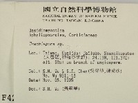 登錄號:F0004281藏品圖，第2張