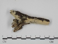 登錄號:F0004281藏品圖，第1張