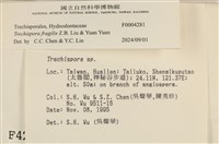 登錄號:F0004281藏品圖，第3張