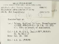 登錄號:F0004282藏品圖，第2張