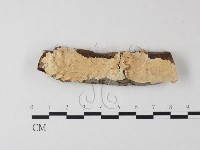 登錄號:F0004282藏品圖，第1張