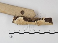 登錄號:F0004282藏品圖，第3張
