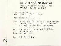 登錄號:F0004283藏品圖，第2張