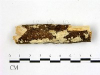 登錄號:F0004283藏品圖，第1張