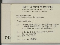 登錄號:F0004284藏品圖，第2張