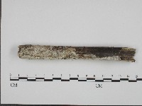 登錄號:F0004284藏品圖，第1張