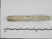 登錄號:F0004284藏品圖，第3張