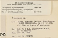 登錄號:F0004284藏品圖，第4張