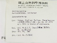 刺皮菌屬藏品圖，第2張