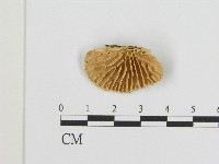 登錄號:F0004287藏品圖，第1張