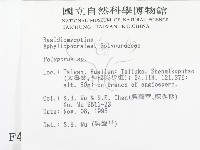 多孔菌屬藏品圖，第2張