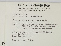 登錄號:F0004289藏品圖，第2張