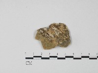 登錄號:F0004289藏品圖，第3張