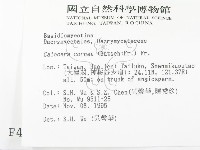 登錄號:F0004290藏品圖，第2張