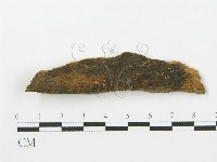 登錄號:F0004290藏品圖，第1張
