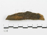 登錄號:F0004290藏品圖，第3張