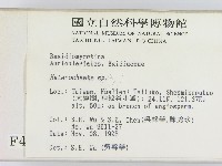 刺皮菌屬藏品圖，第2張