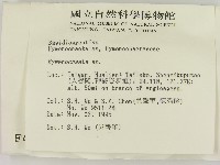 刺革菌屬藏品圖，第2張