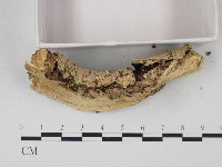 登錄號:F0004293藏品圖，第3張