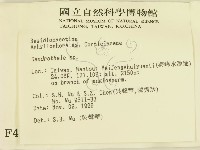 登錄號:F0004294藏品圖，第2張