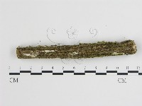 登錄號:F0004294藏品圖，第1張