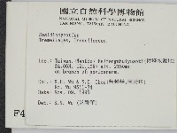 登錄號:F0004295藏品圖，第2張