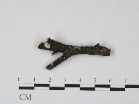 登錄號:F0004295藏品圖，第3張