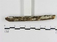 登錄號:F0004296藏品圖，第1張