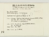 登錄號:F0004297藏品圖，第2張