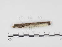 登錄號:F0004297藏品圖，第1張