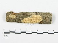 登錄號:F0004298藏品圖，第1張