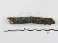 登錄號:F0004299藏品圖，第1張