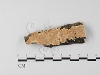 登錄號:F0004300藏品圖，第1張