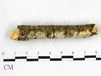 登錄號:F0004301藏品圖，第3張