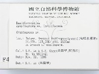登錄號:F0004302藏品圖，第2張