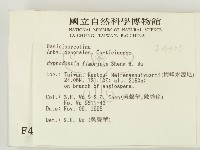 登錄號:F0004303藏品圖，第2張