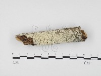 登錄號:F0004303藏品圖，第1張
