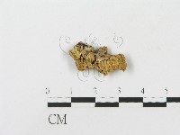 登錄號:F0004304藏品圖，第1張